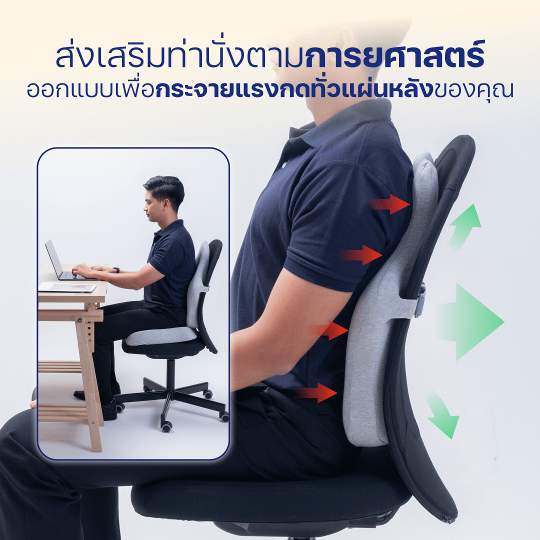 เบาะรองหลัง ERGOLAB 49X45X8 ซม. สีเทา_3